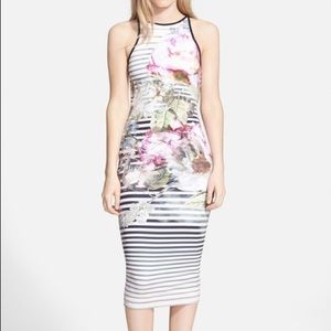 Ted Baker 'Laya Peony' Stripe Midi Dress